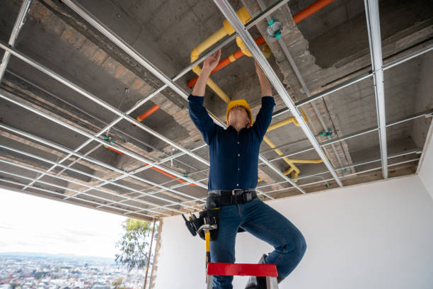 Best Leak Detection Services  in Phoenix Lake, CA
